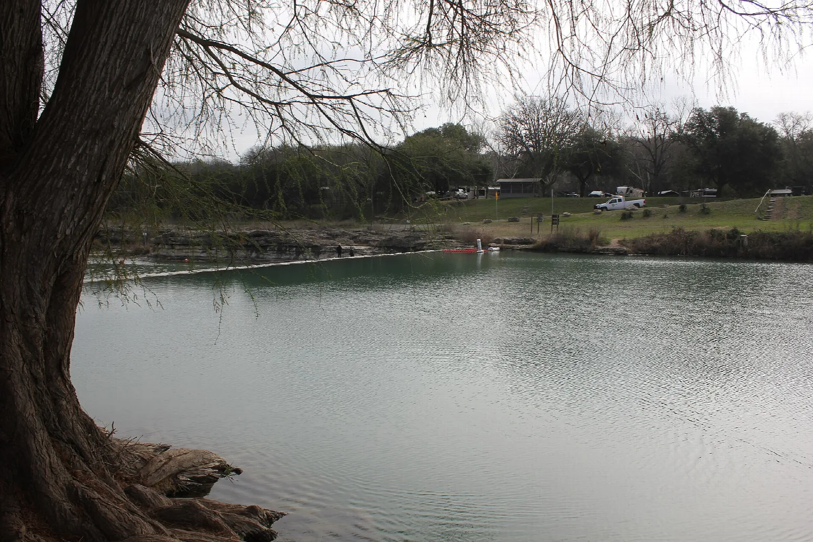 Calm green river seen from under a bare tree with a grassy bank beyond