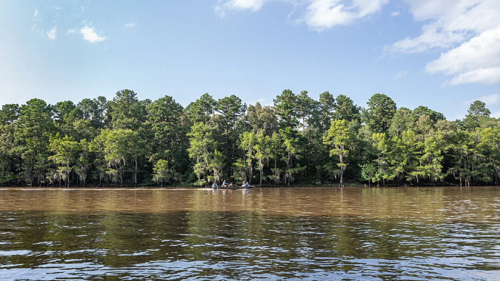 Wide brown bayou with a pine-covered shoreline and a small boat in the distance