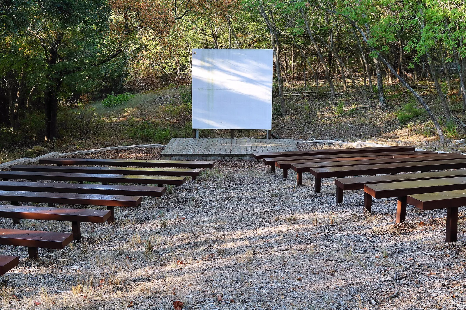 Rows of wooden benches facing a white screen in the woods