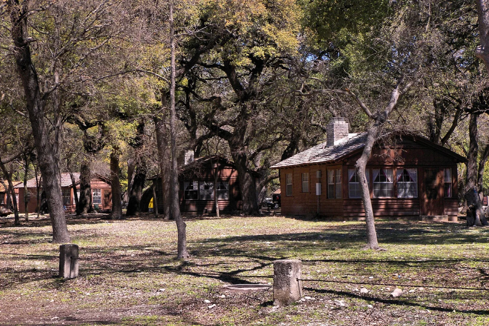 Log cabin among trees on a lawn