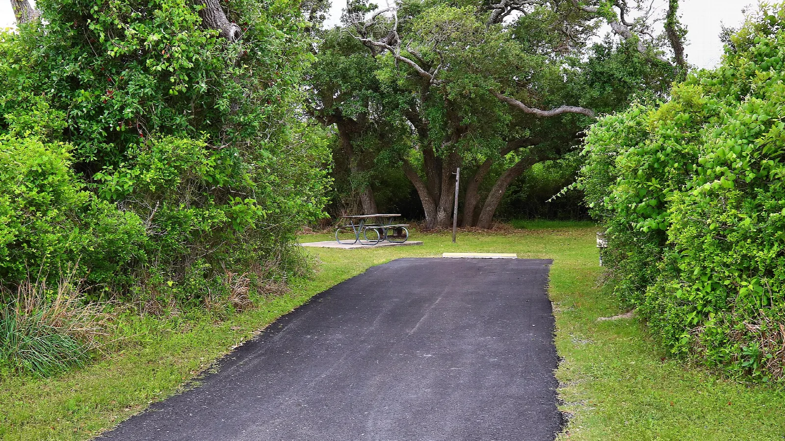 Paved campsite pad among green shrubs and a picnic table