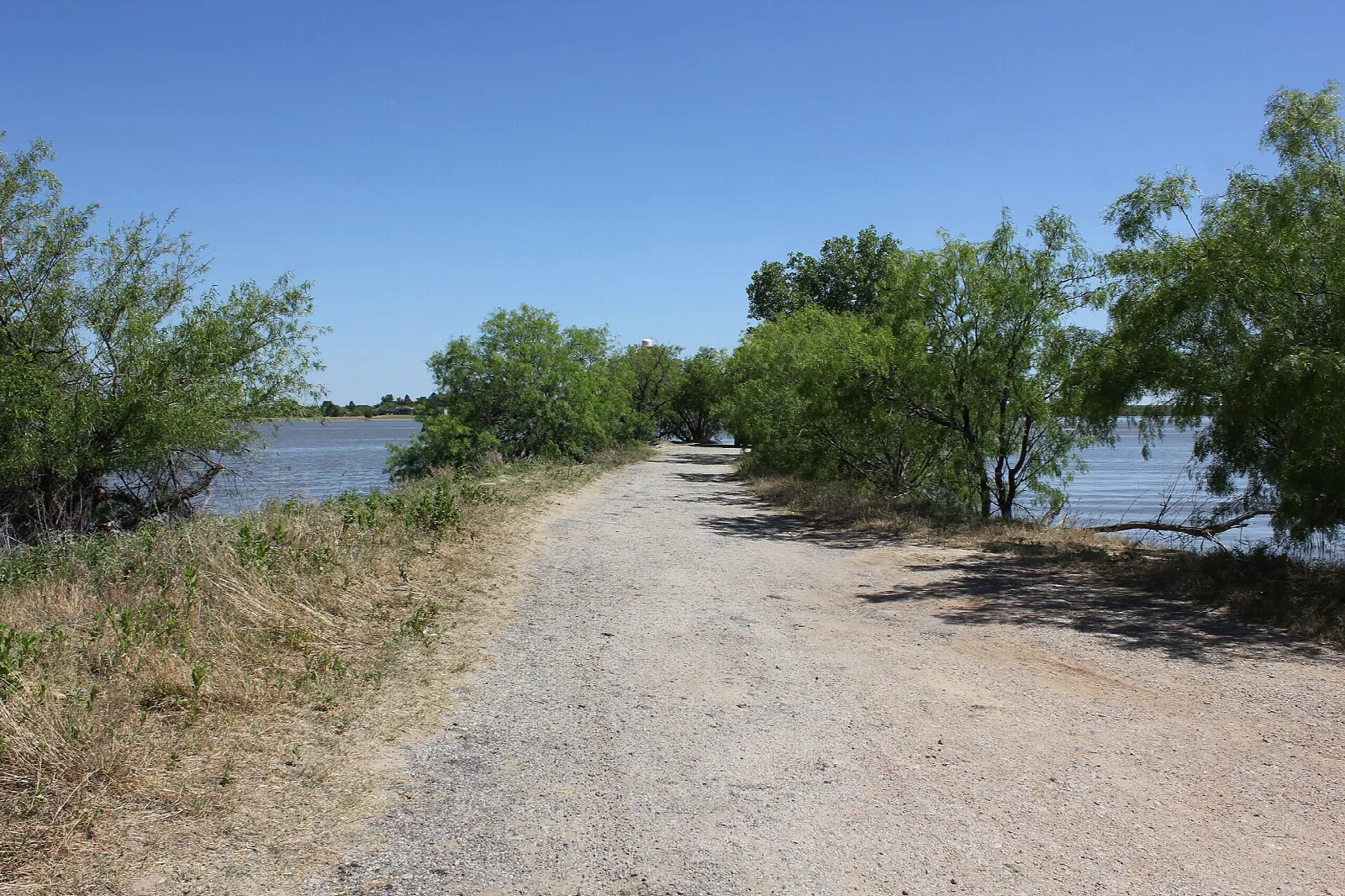 Gravel path along a lake with scrubby trees and a blue sky