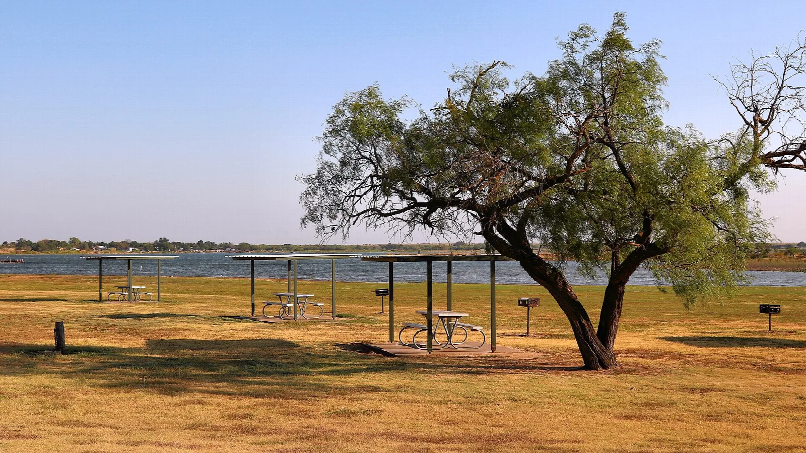 Picnic shelters on dry grass beside the lake with a mesquite tree