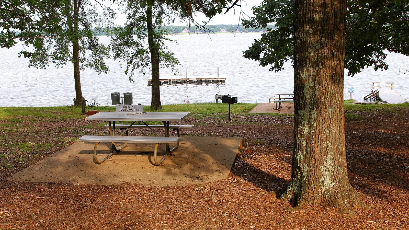 Picnic table under a large tree beside a lake with a dock