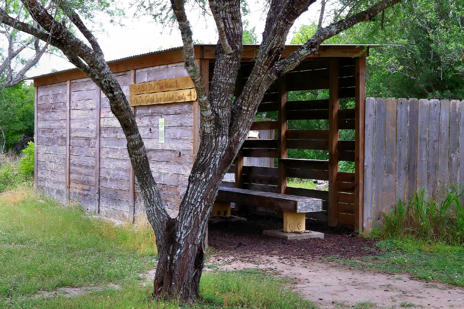Wooden bird blind shelter under a tree