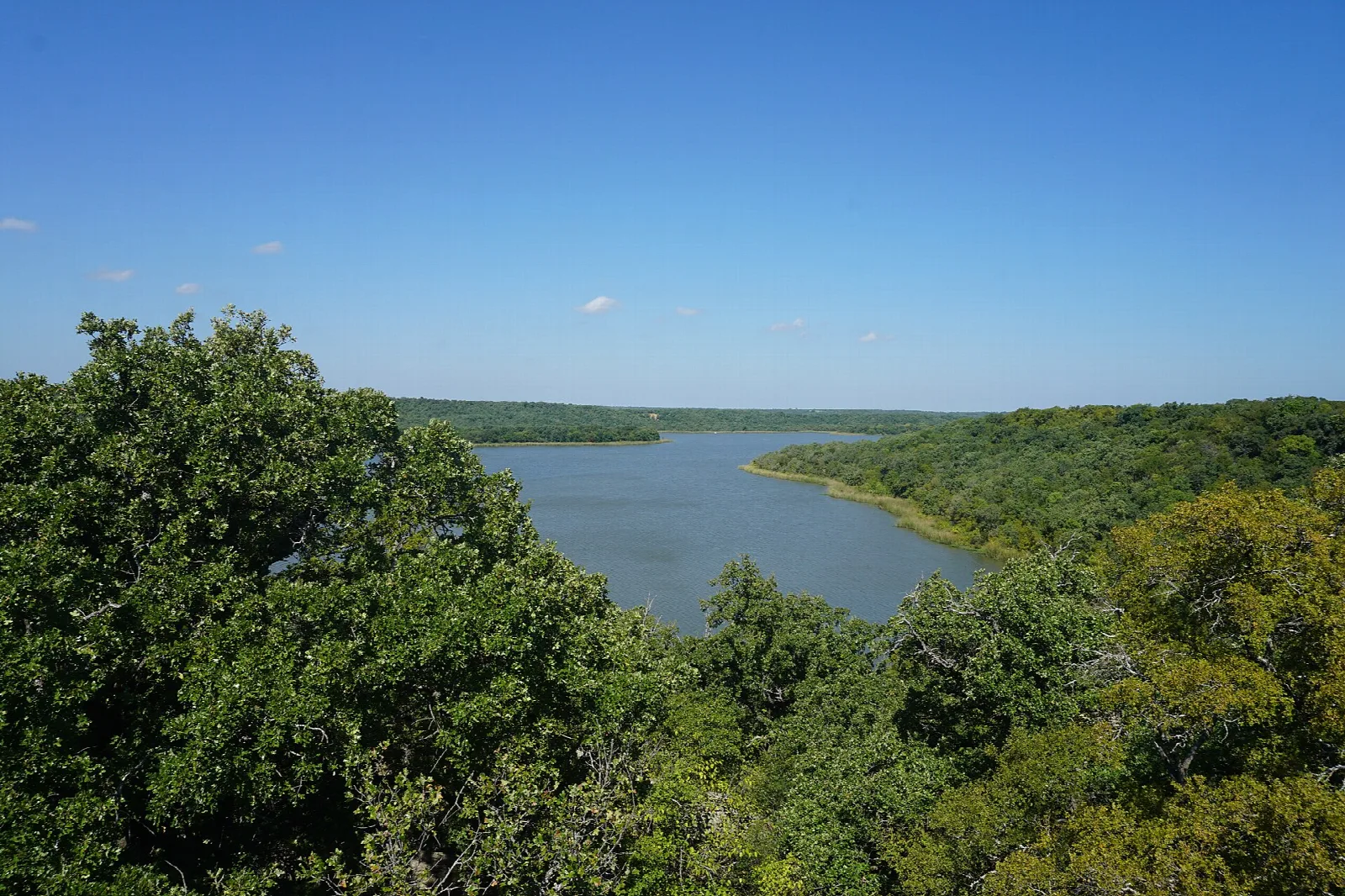 Wide lake seen through green trees from a hilltop