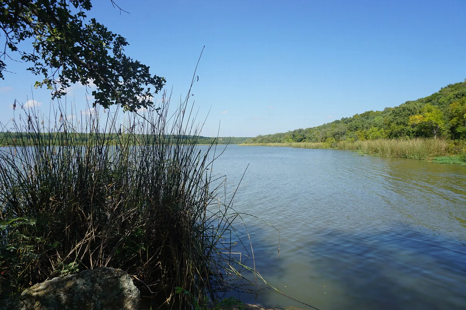Lake with a reed-lined shore and wooded hills under blue sky