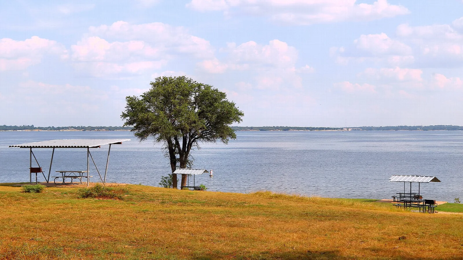 Picnic shelters on dry grass by a wide lake with a lone tree