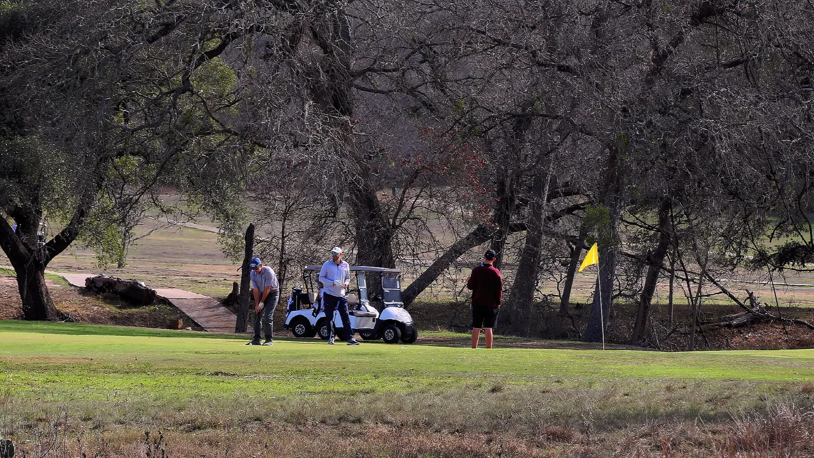 Golfers on a putting green with a cart among bare trees