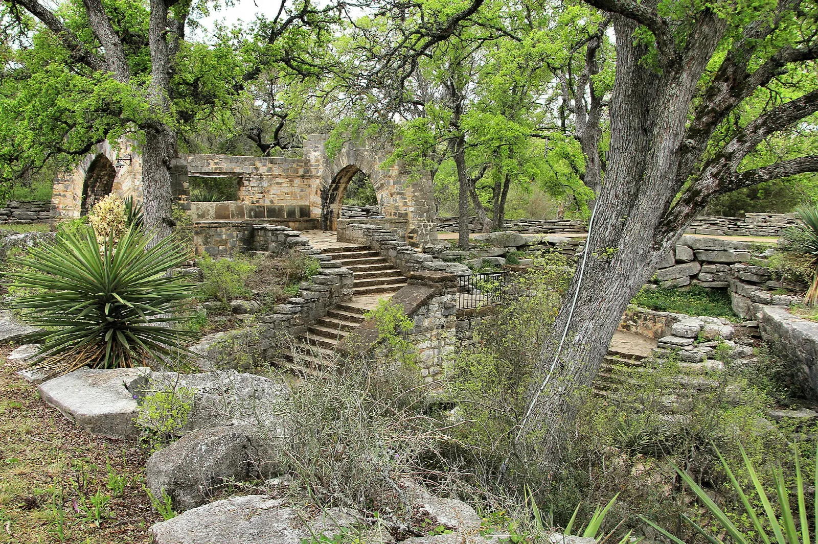 Wide stone stairway rising from a garden of yucca and trees