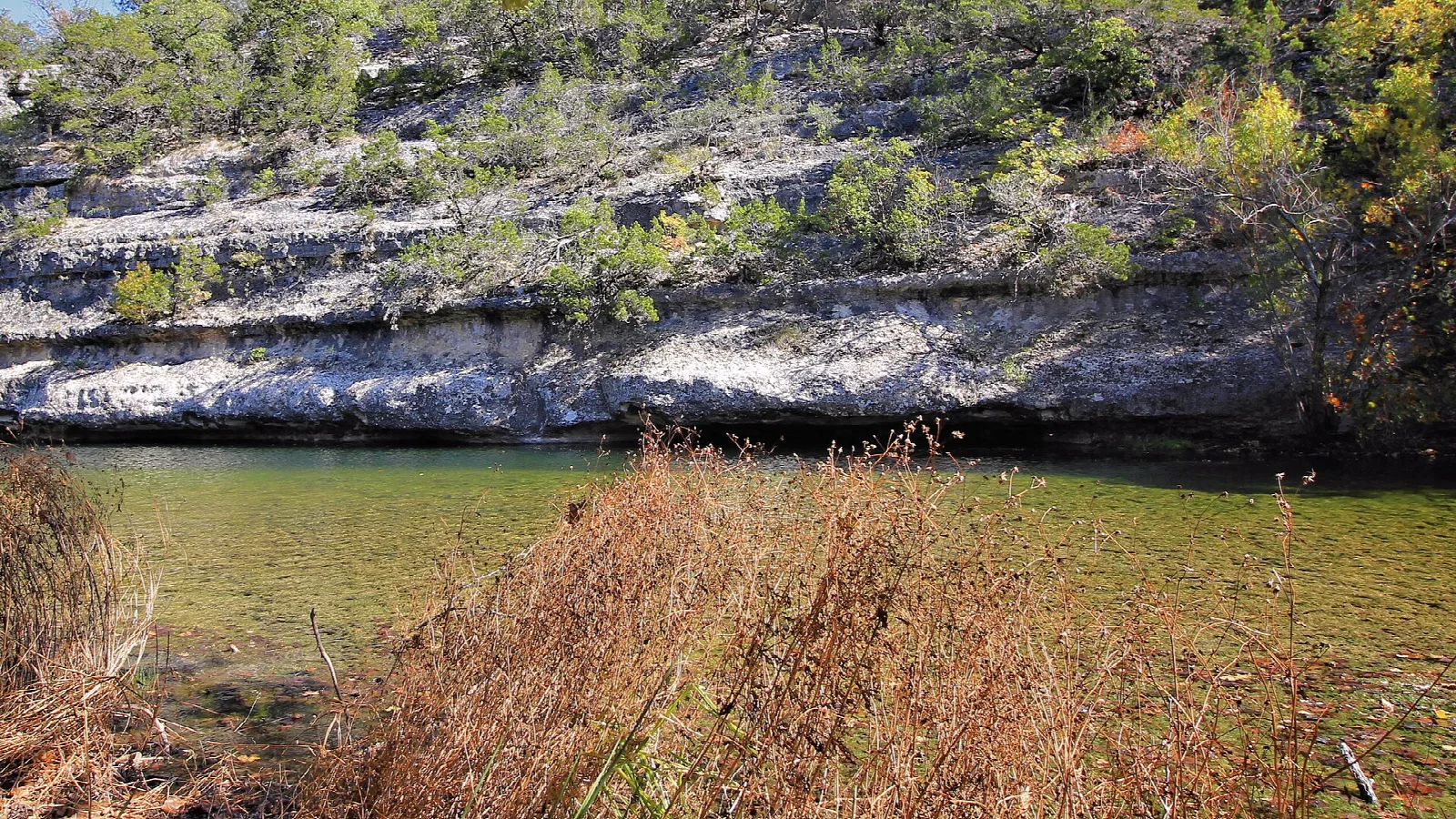Limestone bluff above a calm green creek
