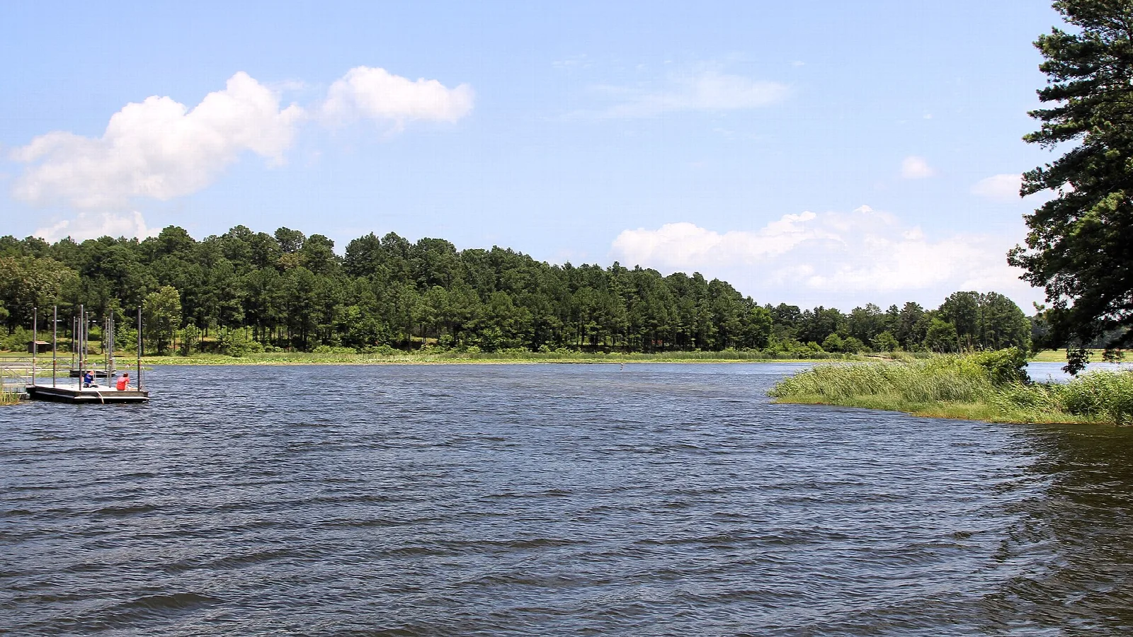 Open lake with tree-lined shore and a small boat in the distance