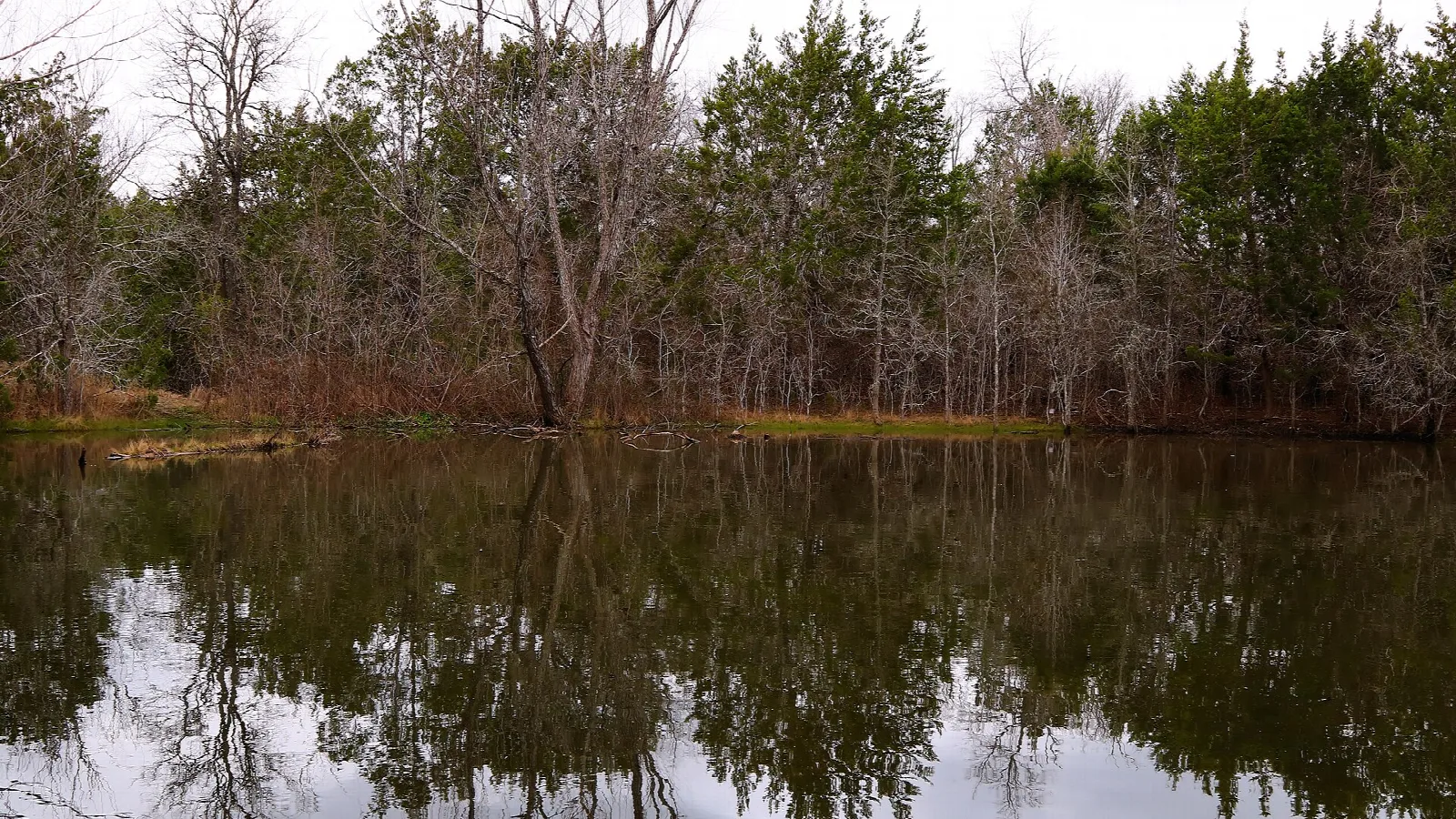 Still pond reflecting bare trees along a trail