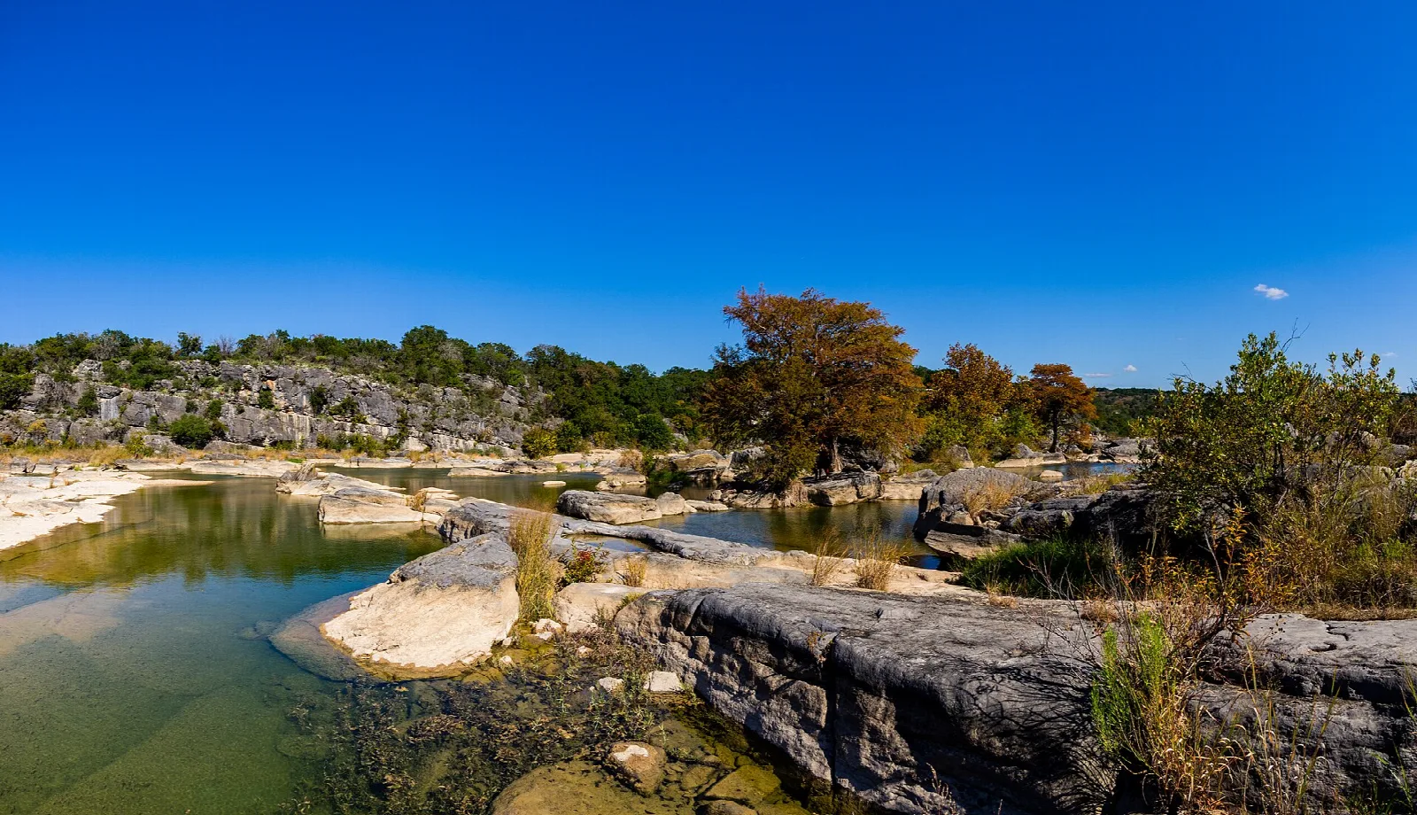 Green river pool beside rocks and a cypress with autumn color