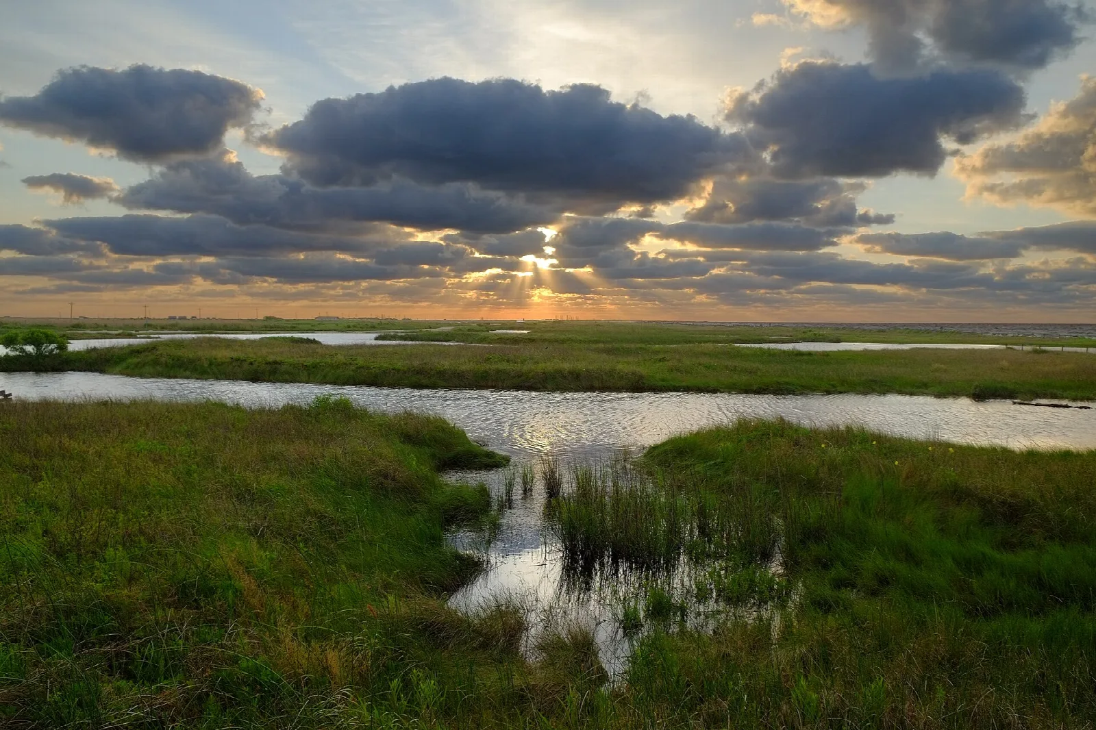 Marsh pools and green grass under a cloudy sunset sky