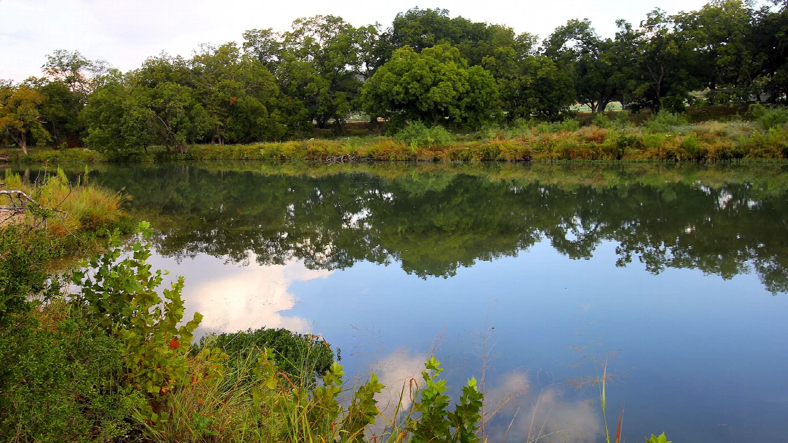 Calm river bordered by trees and grass