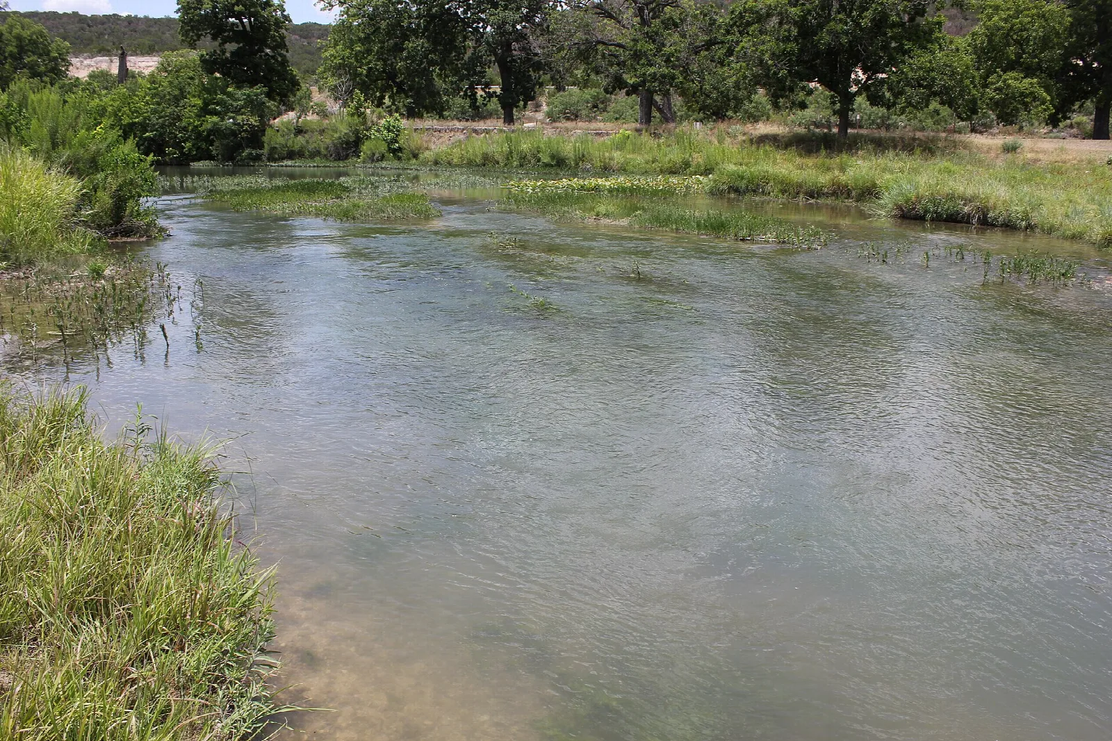 Shallow clear river with grassy bank and trees