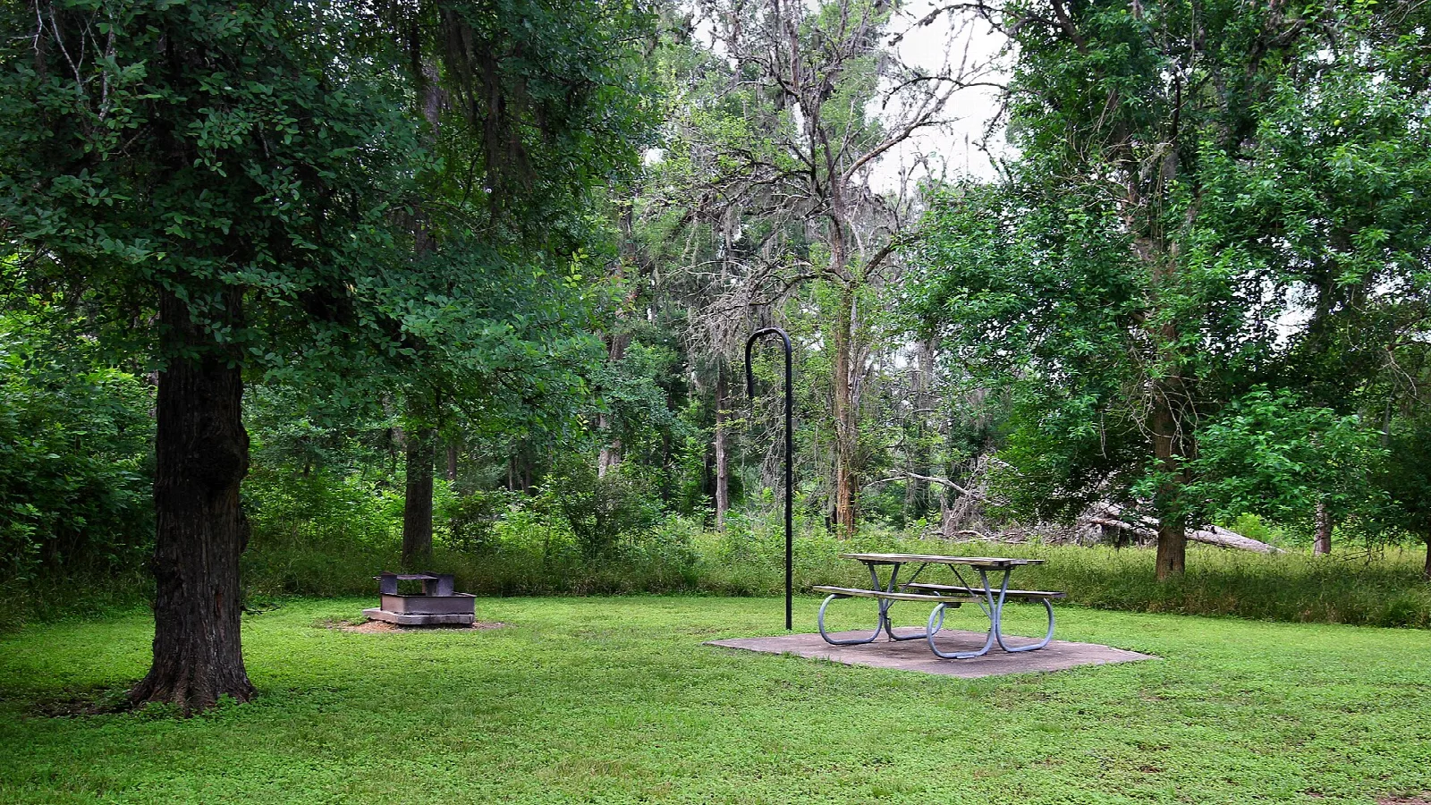 Grassy campsite with picnic table and lantern post under shade trees