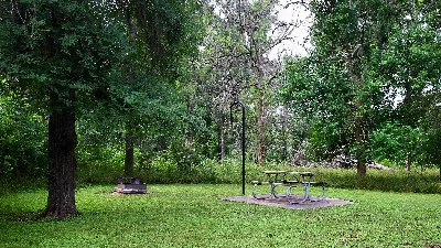 Stephen F. Austin State Park