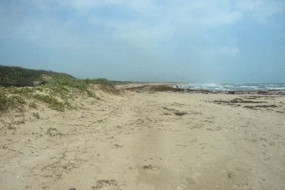 Mustang Island State Park