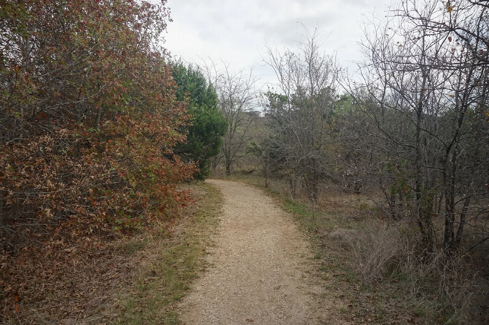 Gravel trail through bare autumn trees