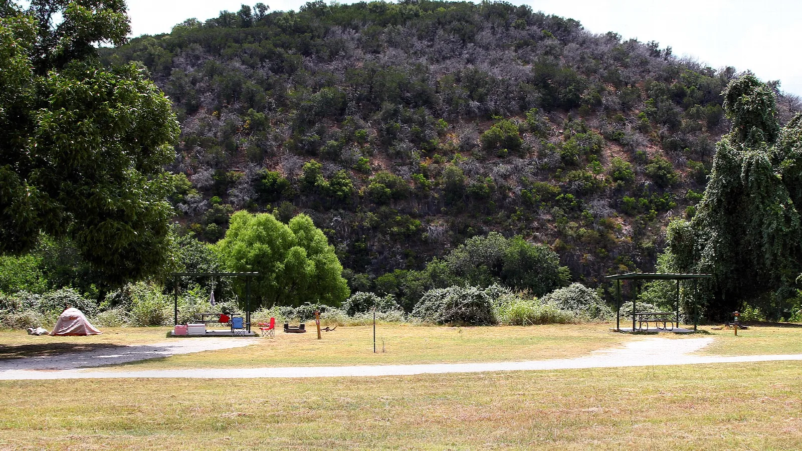 Grassy camping area below a wooded hill