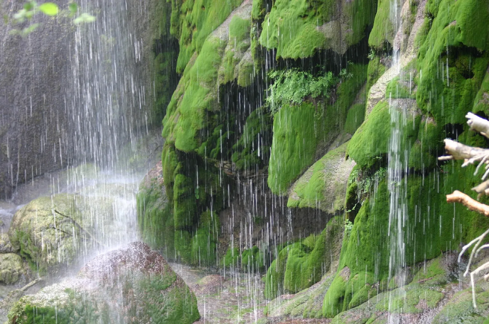 Water streaming down bright green moss-covered rock