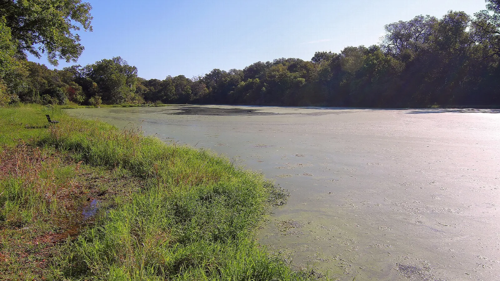 Shallow lake edged by grass with trees along the far shore