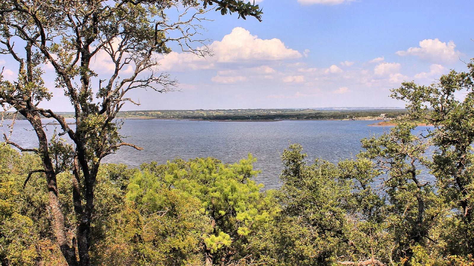 Wide lake seen through trees from a hillside