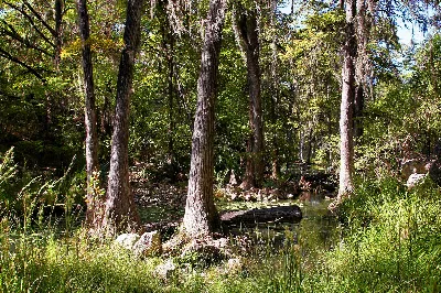 Honey Creek State Natural Area