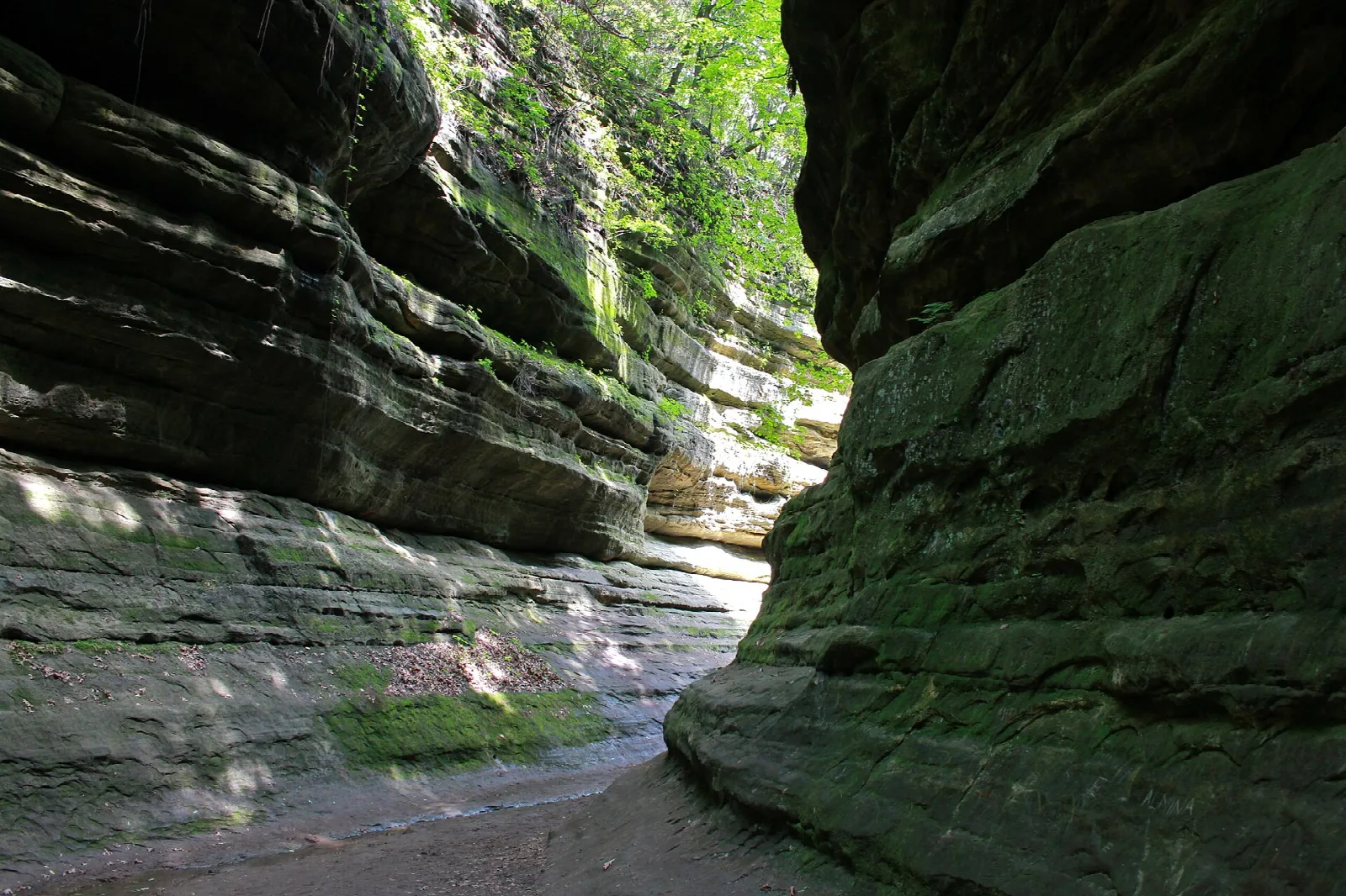 Narrow canyon between layered, moss-covered sandstone walls