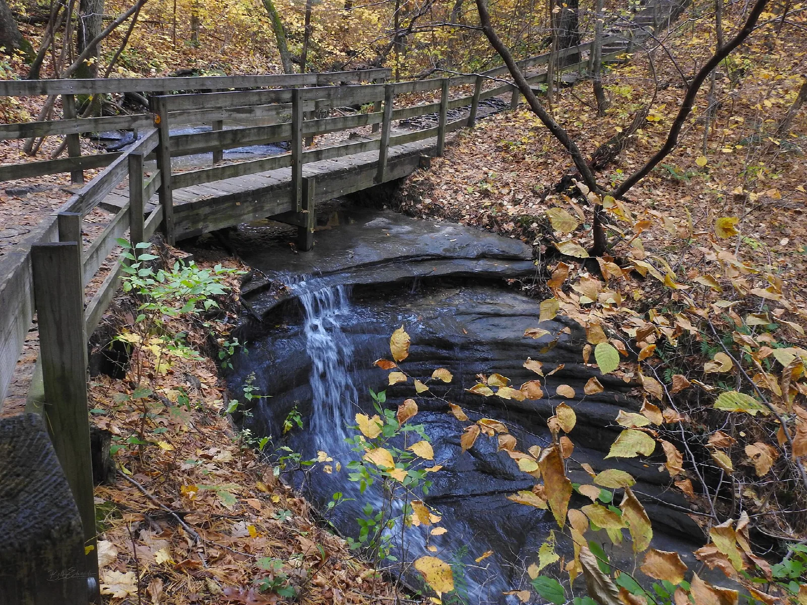 Wooden footbridge over a small waterfall in a canyon with fall leaves