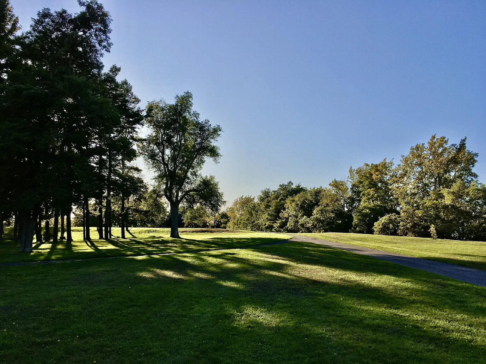 Mowed lawn and tall trees with a path in the distance