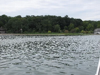 Cayuga Lake State Park