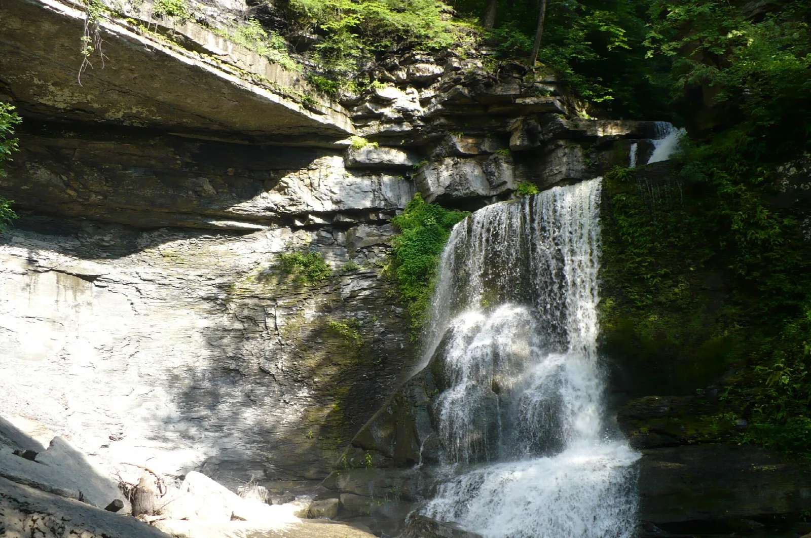 Narrow waterfall dropping over a rock ledge in a green gorge