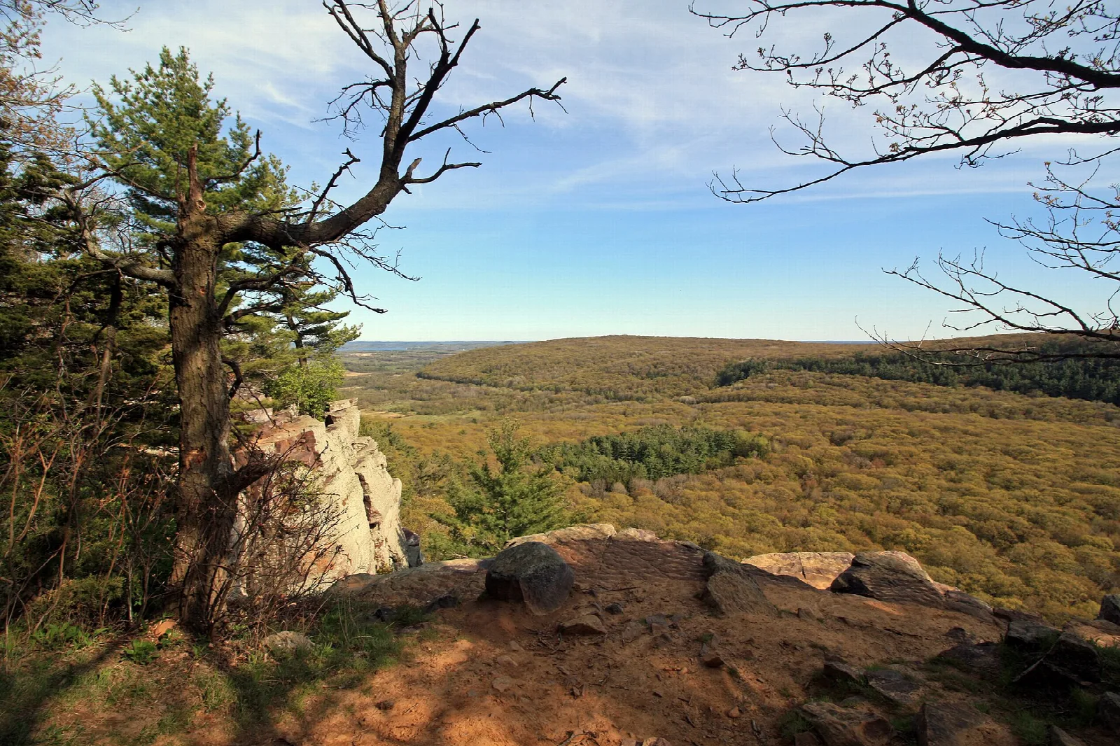 Pine tree and rock outcrop on a bluff above a wooded valley