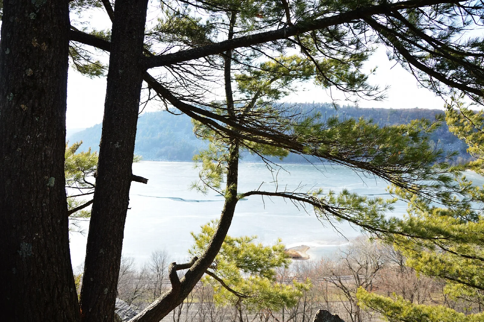 Lake glimpsed through pine trunks and branches with hills beyond