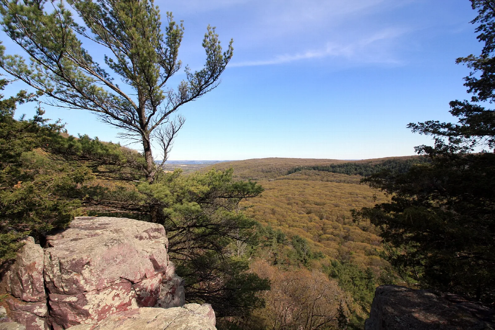 Rocky outcrop and pine tree looking out over forested hills