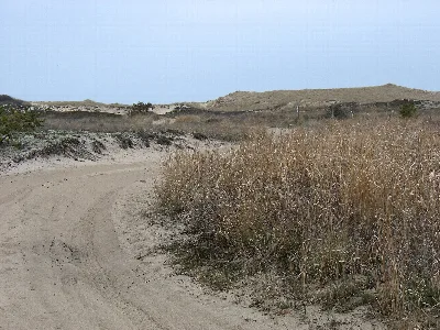 Napeague State Park