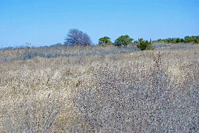 Heckscher State Park