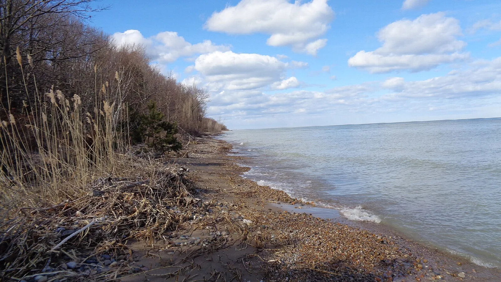 Rocky Lake Huron shoreline with reeds and a bluff under scattered clouds