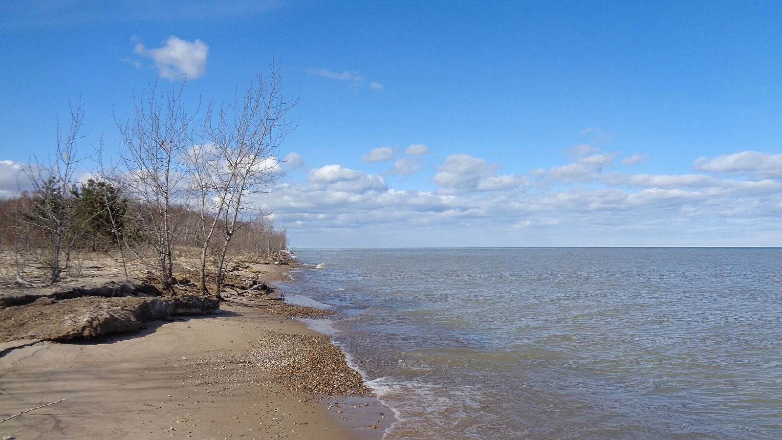 Sandy point with bare trees meeting the lake under a blue sky