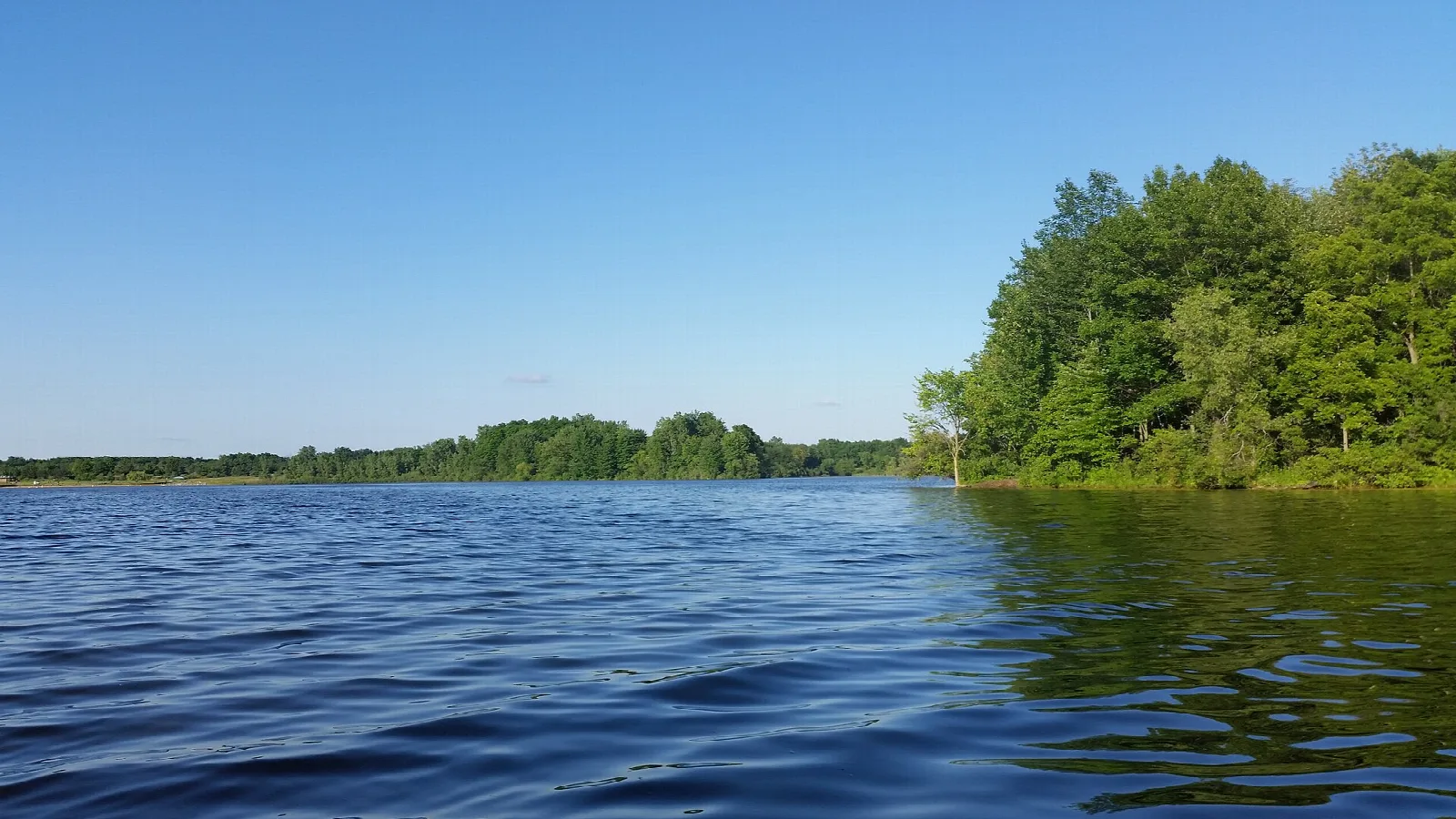 Dark blue lake with a wooded point and clear sky
