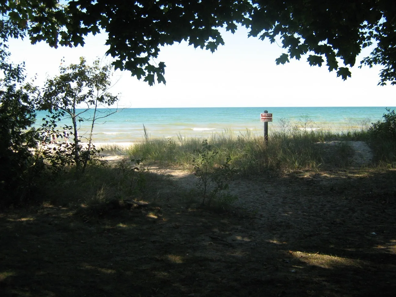 Picnic table in the shade above a dune opening onto Lake Huron