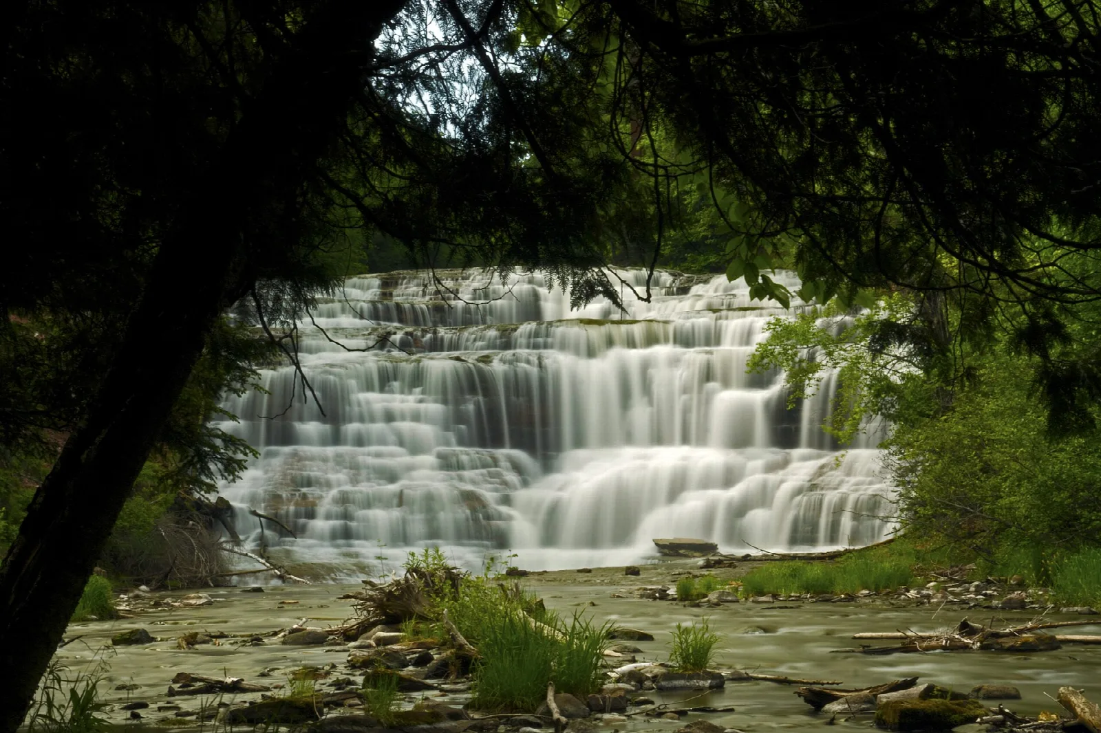 Silky cascading waterfall seen under dark tree branches