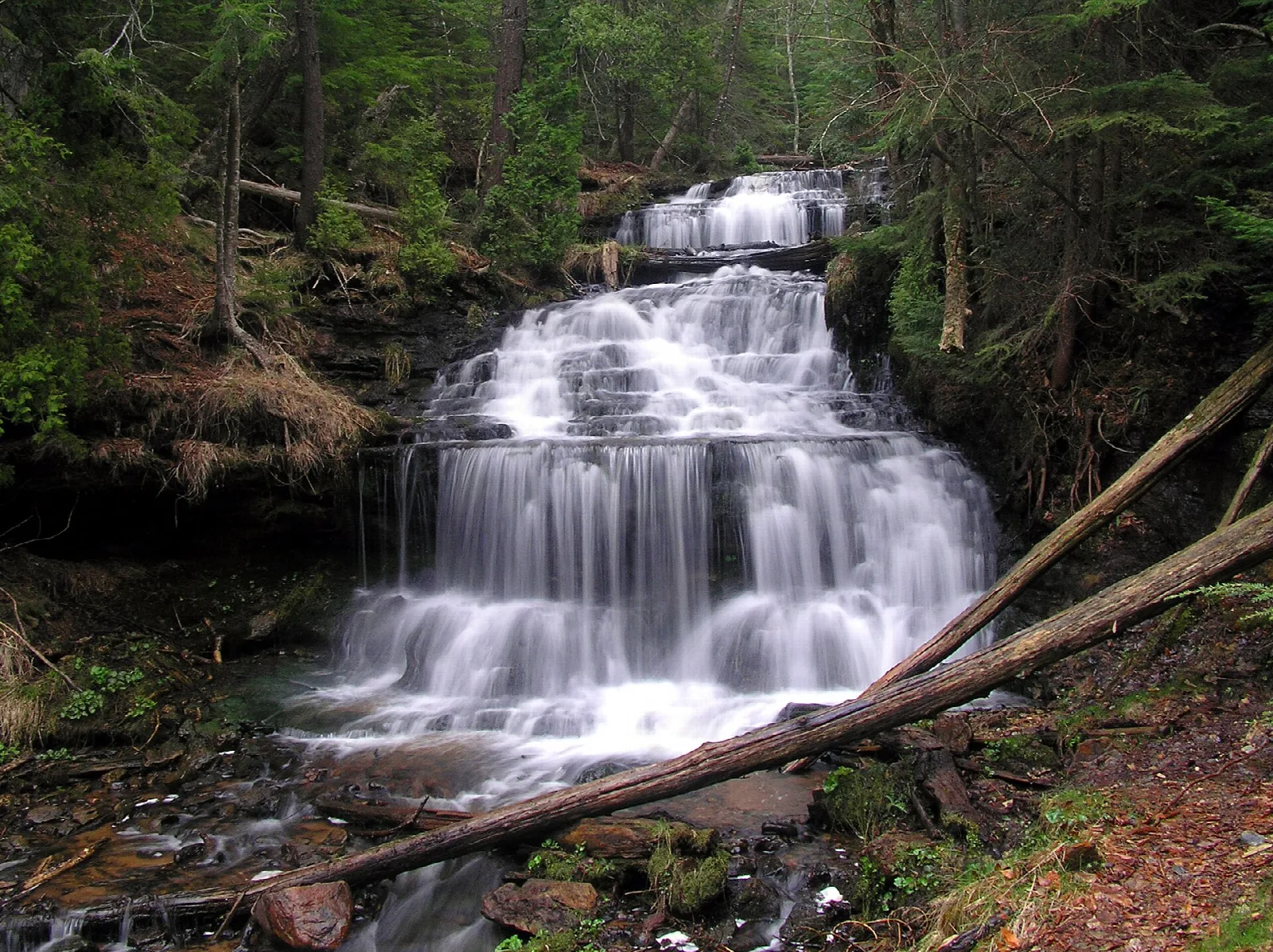 Tiered waterfall behind fallen logs in a shaded forest
