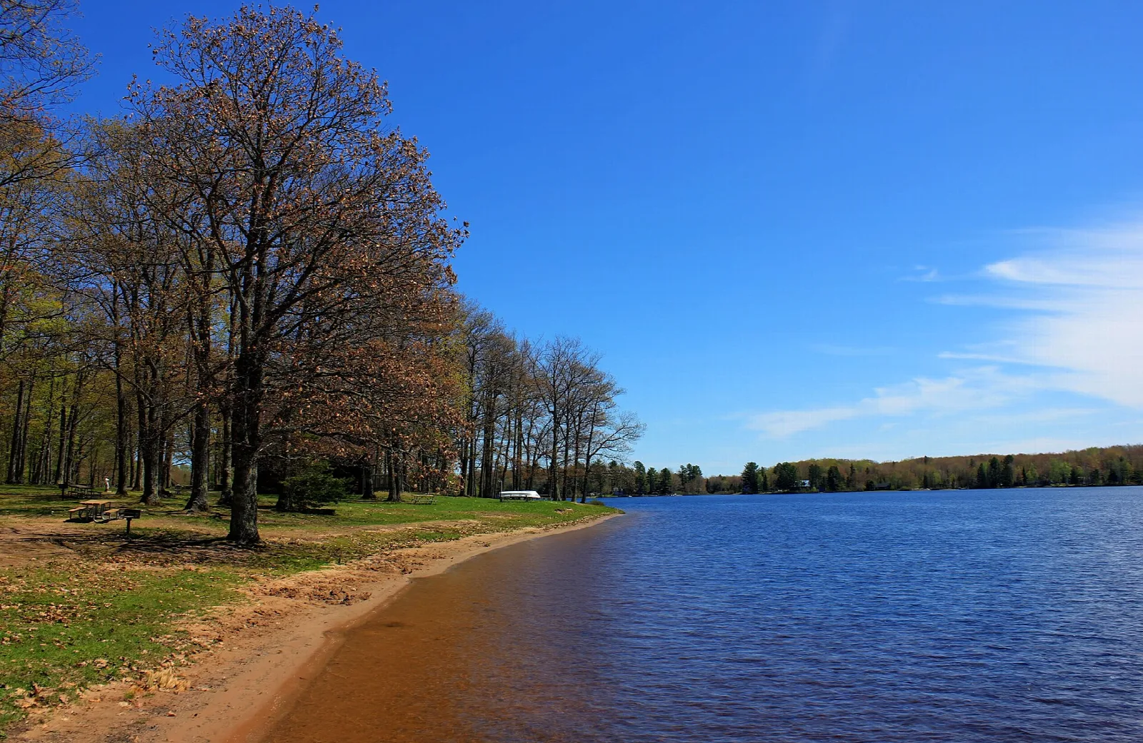 Sandy lakeshore beside blue water with tall bare-branched trees