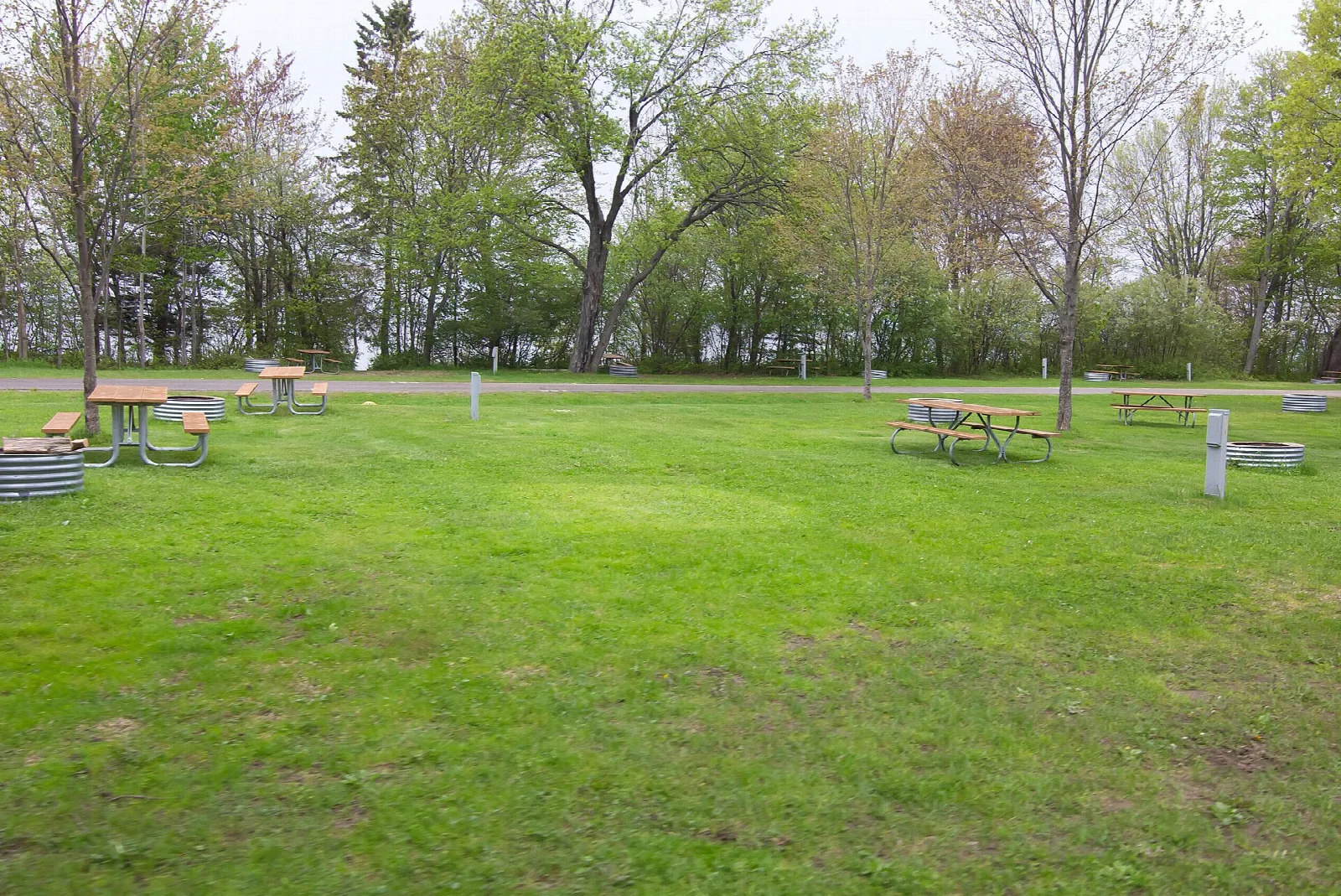 Grassy campground with picnic tables and fire rings among trees