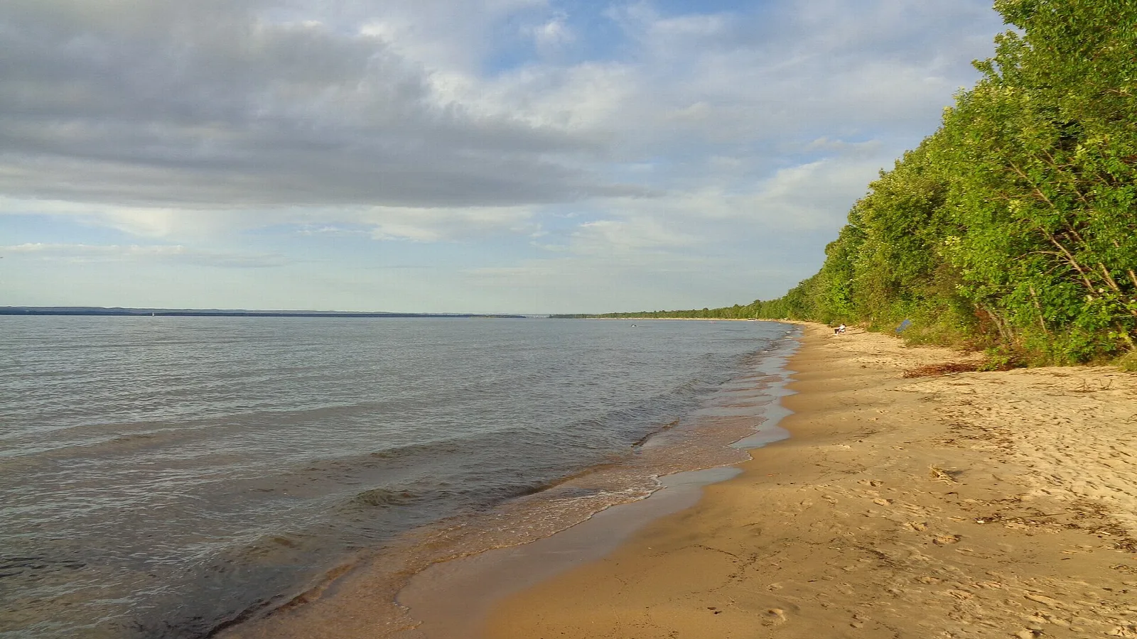 Long sandy beach curving along calm Lake Superior with forest on the shore