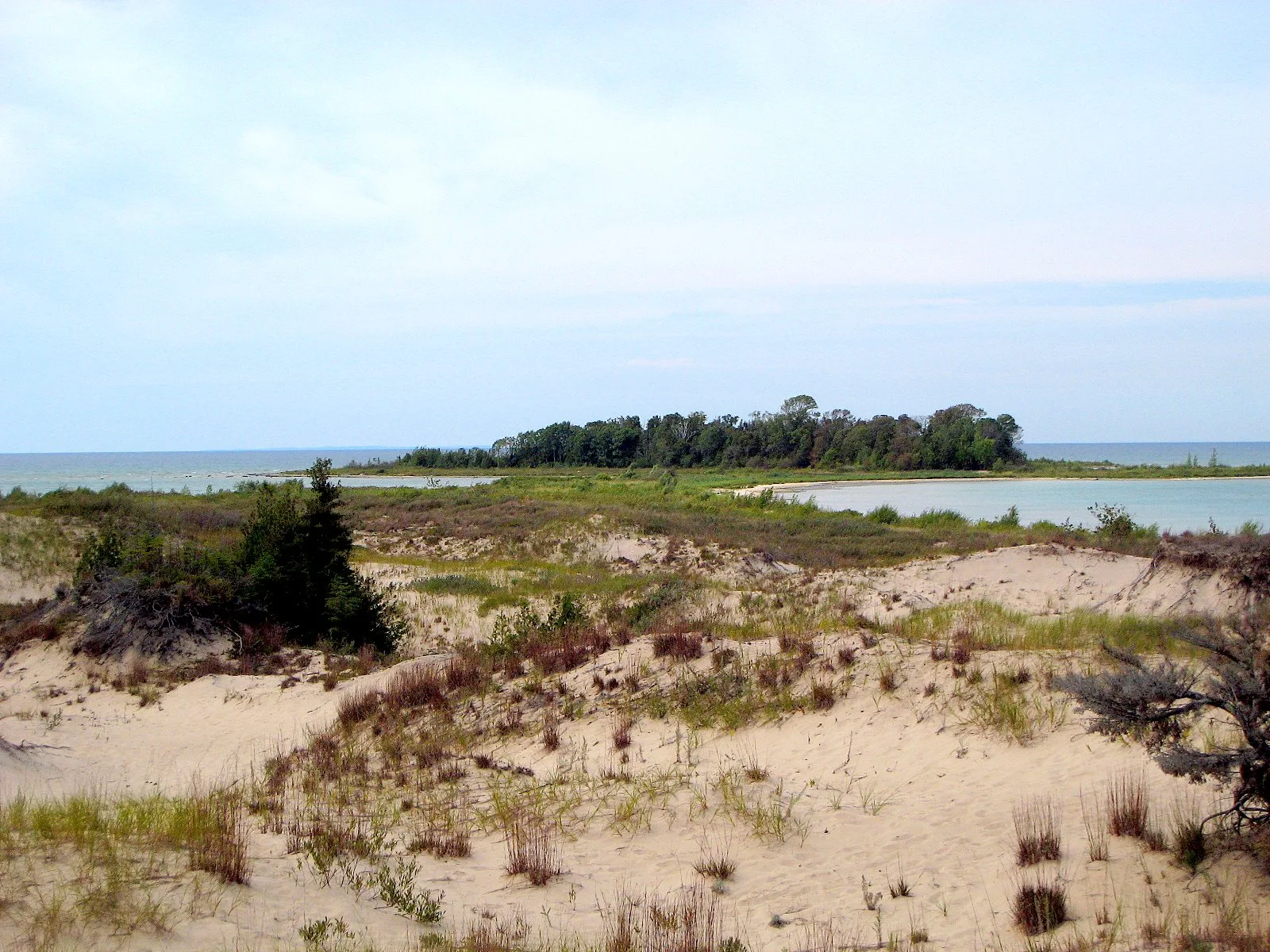 Grassy sand dunes with a small wooded island and lake beyond